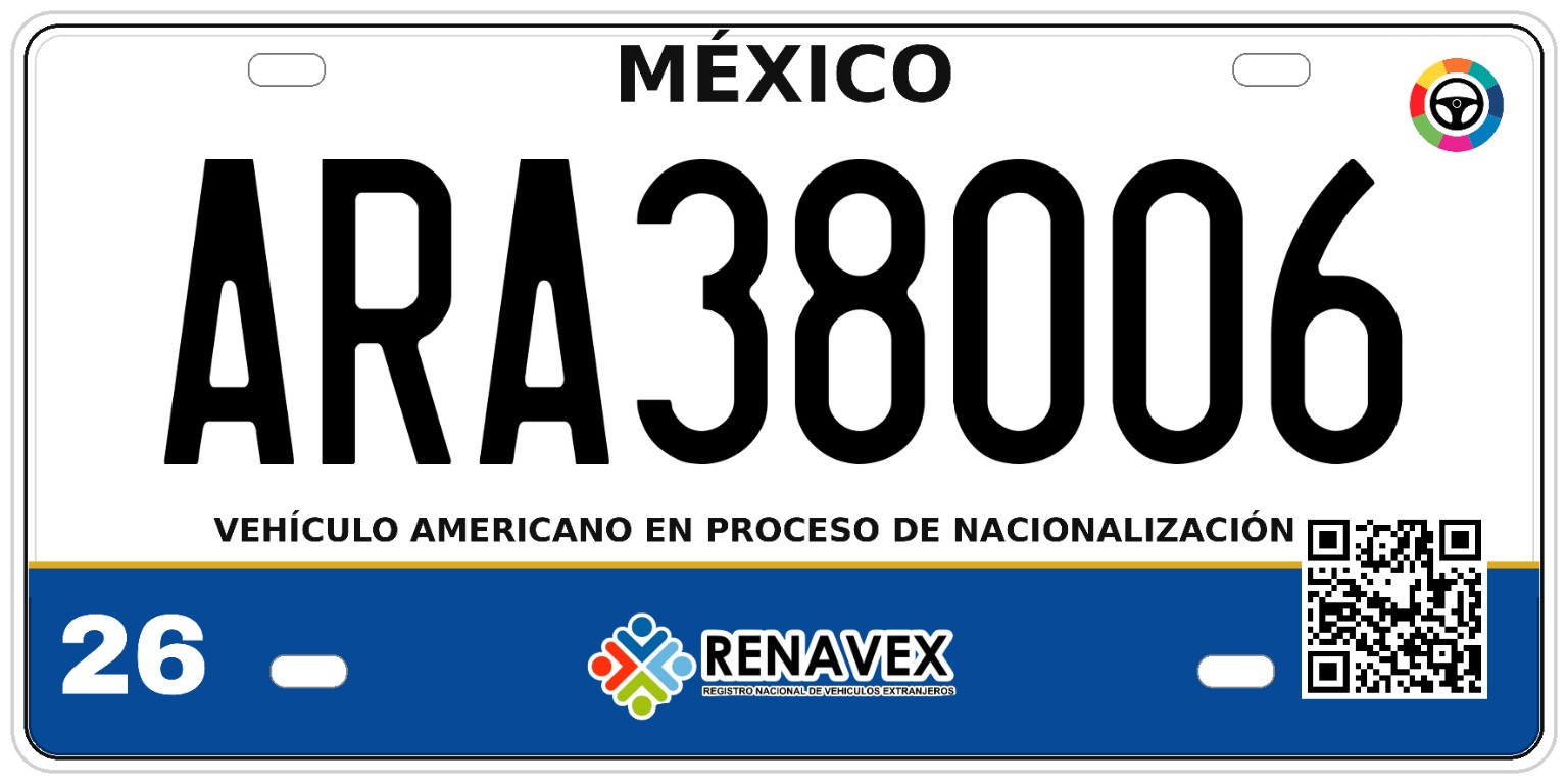 Muestra de lámina de identificación vehicular RENAVEX